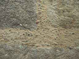 sandymount tower-17085.jpg